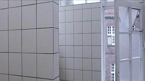 46243
