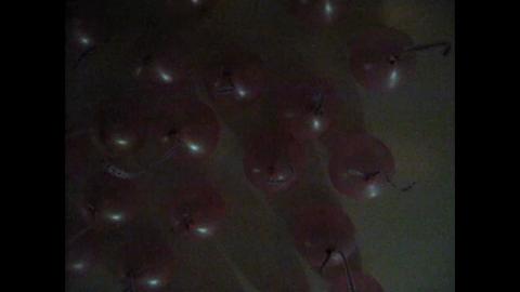 2235