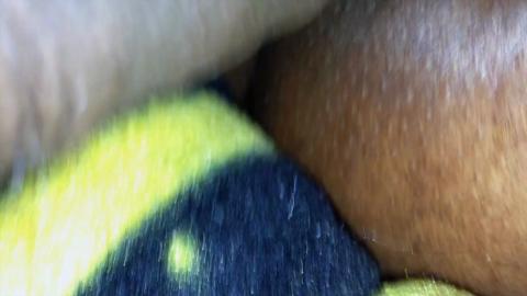 18515
