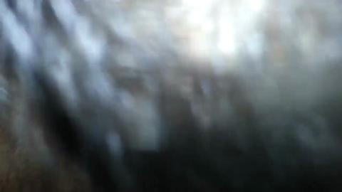 44216