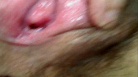 21727