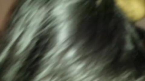 45255