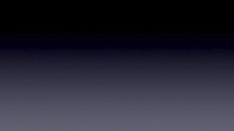 41006